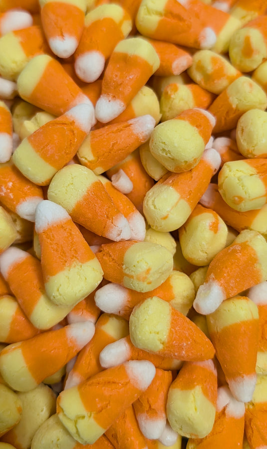 Freeze Dried Candy Corn (6-Pack)